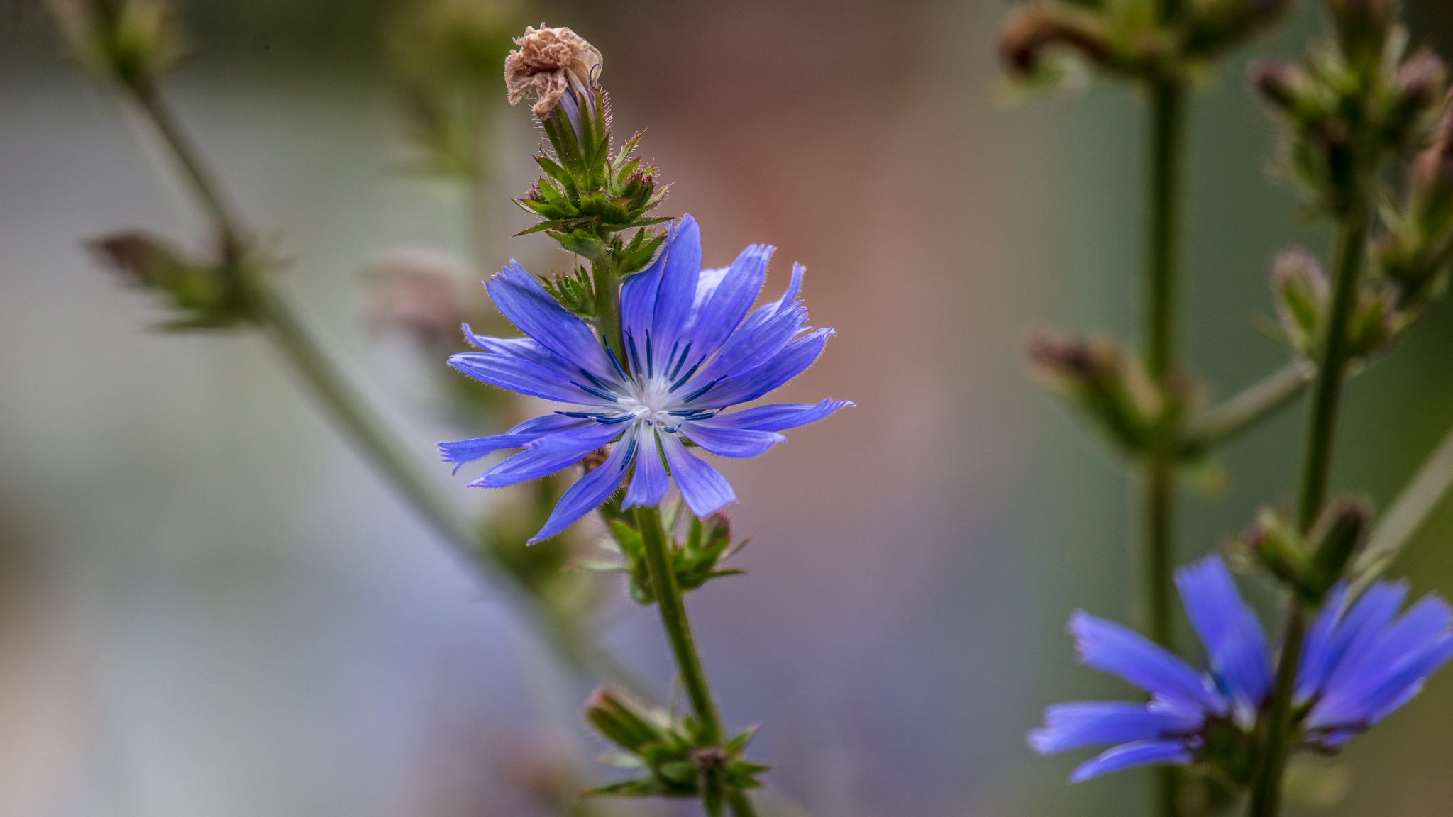 20210725100601 017875